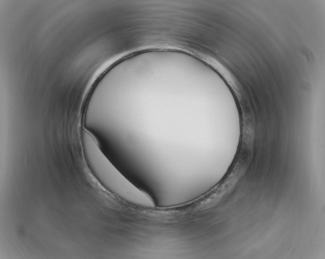 X0000112901004200909111520
