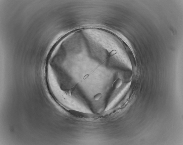 X0000112901005200909111520