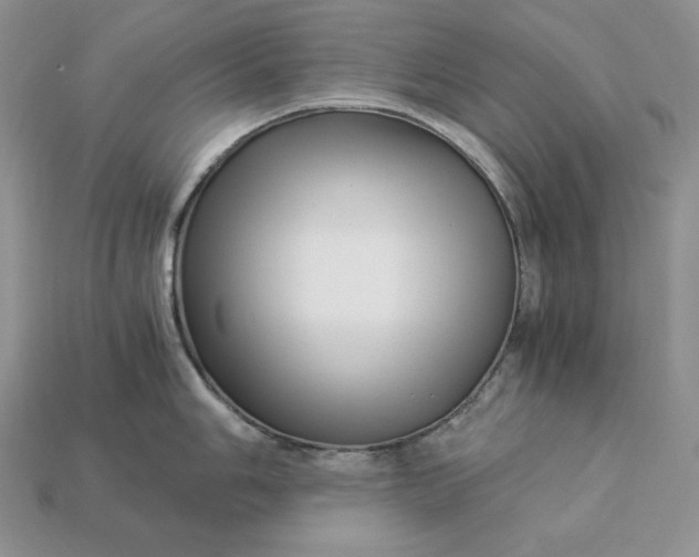 X0000112901006200909111520