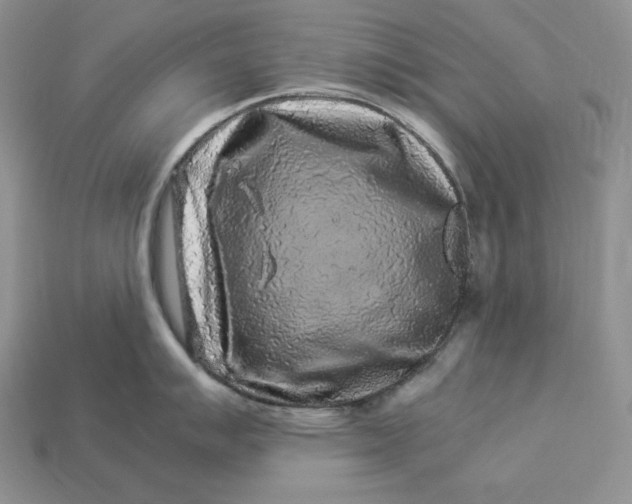 X0000112901007200909111520