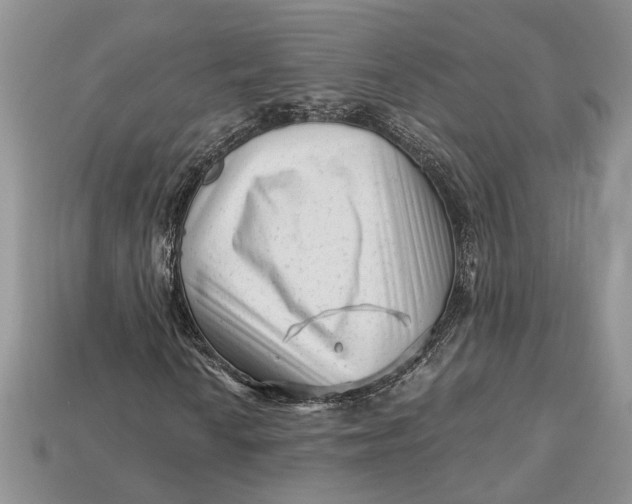 X0000112901010200909111520