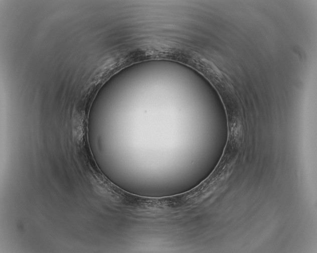 X0000112901012200909111520