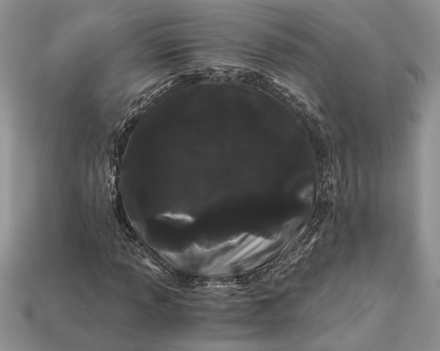 X0000112901013200909111520