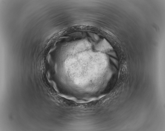 X0000112901014200909111520