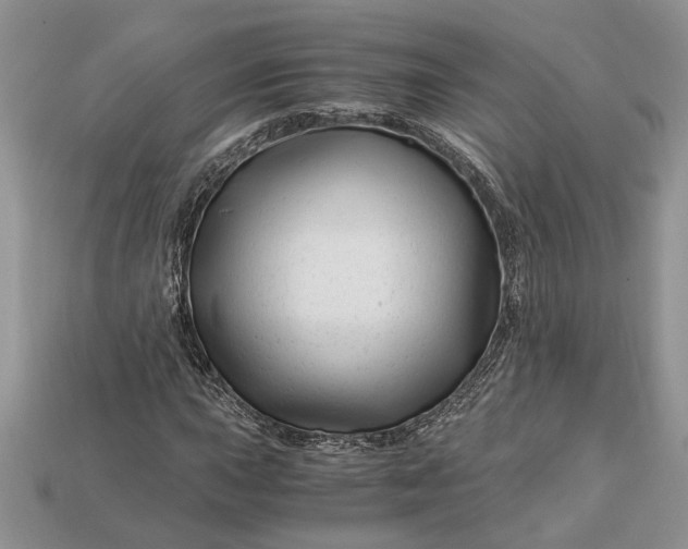 X0000112901015200909111520