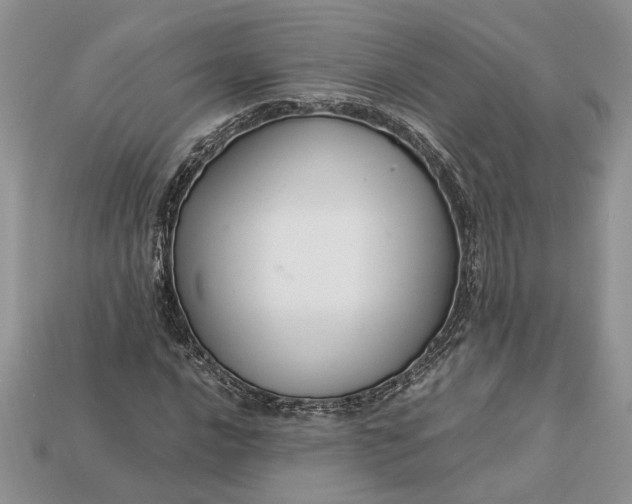 X0000112901016200909111520