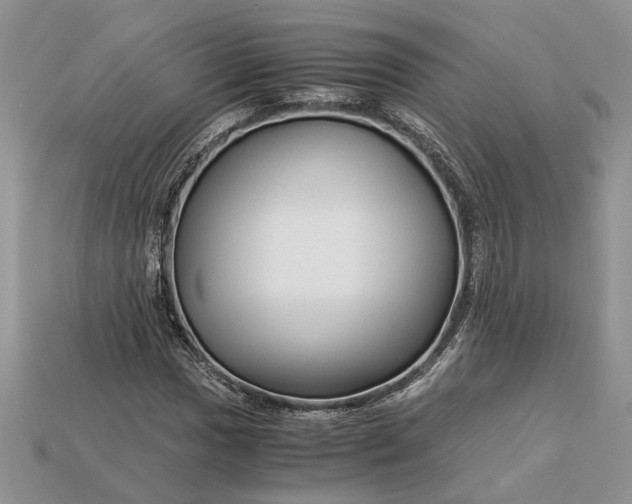 X0000112901017200909111520