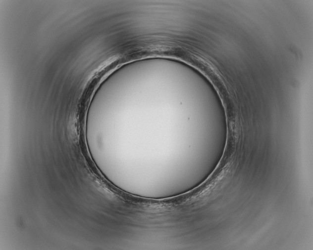 X0000112901018200909111520