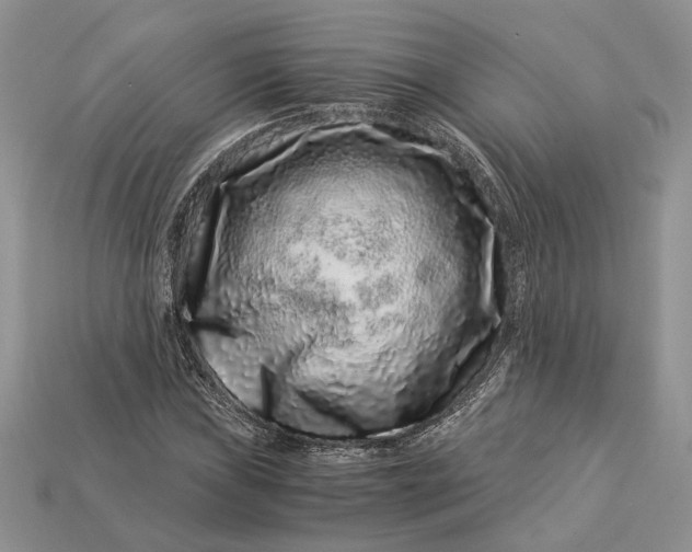 X0000112901019200909111520