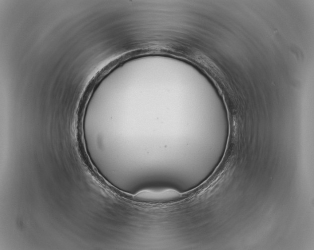 X0000112901020200909111520