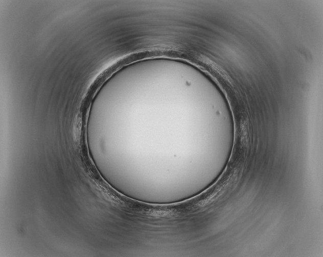 X0000112901021200909111520