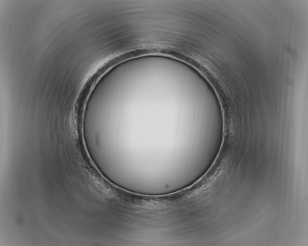 X0000112901022200909111520