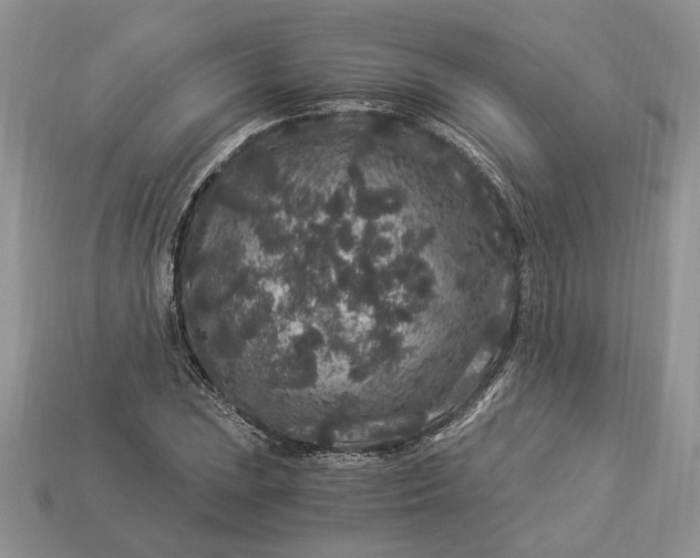 X0000112901023200909111520