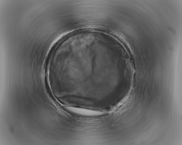 X0000112901024200909111520