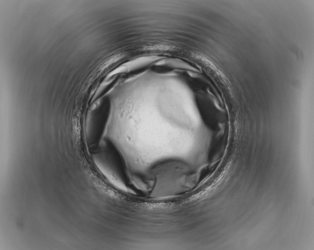 X0000112901025200909111520