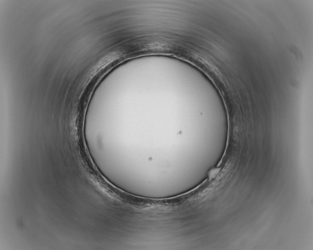 X0000112901026200909111520
