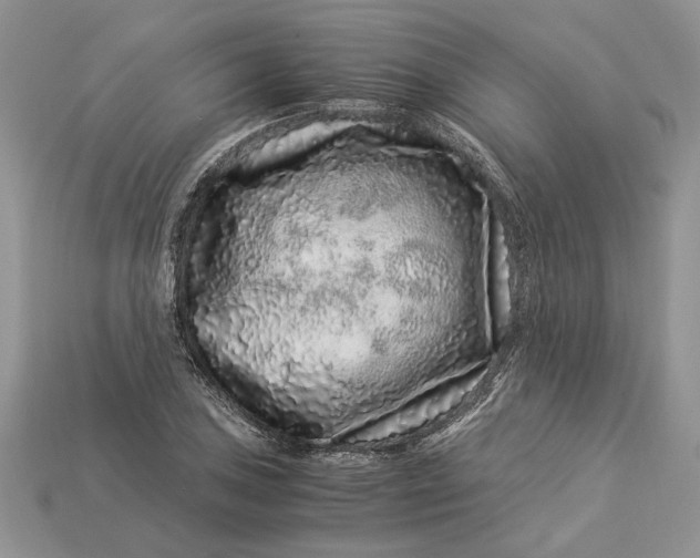 X0000112901027200909111520