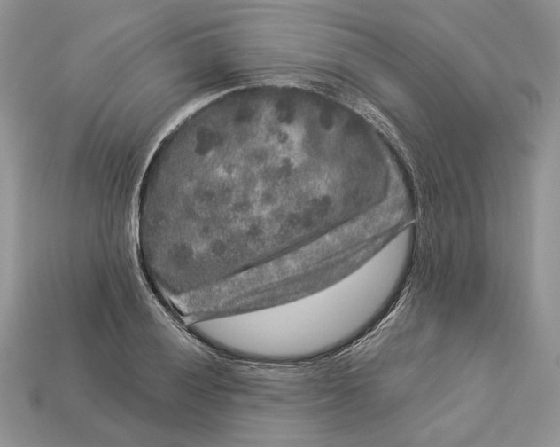 X0000112901028200909111520
