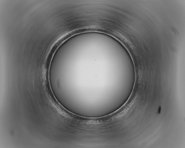 X0000112901029200909111520