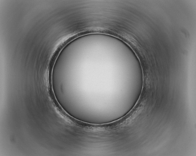 X0000112901030200909111520