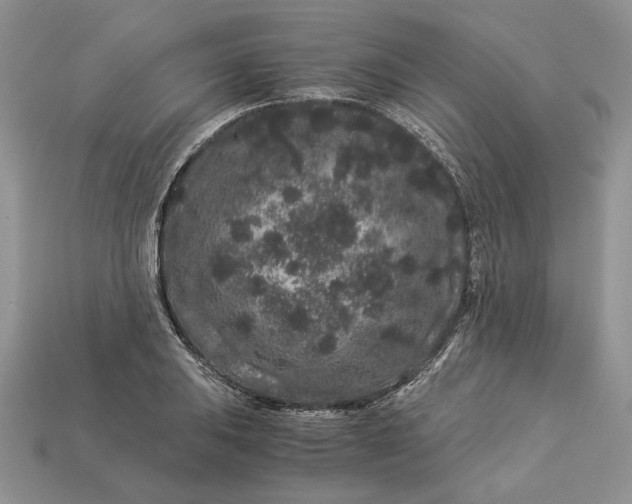 X0000112901031200909111520