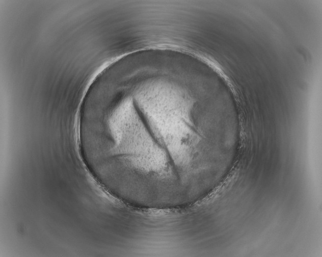 X0000112901032200909111520