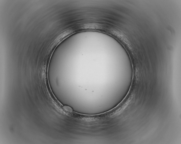X0000112901033200909111520