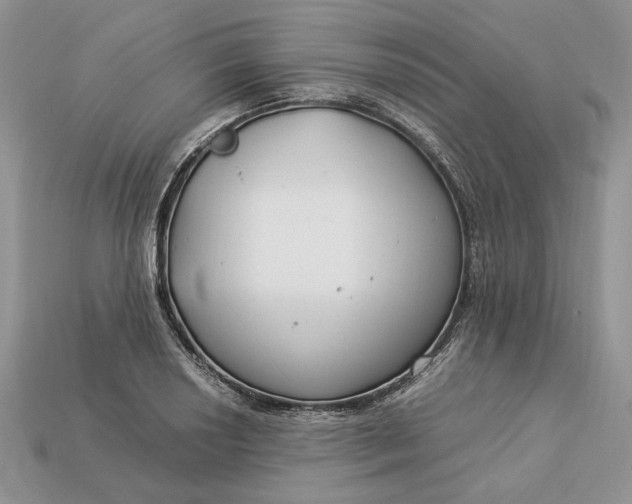 X0000112901034200909111520