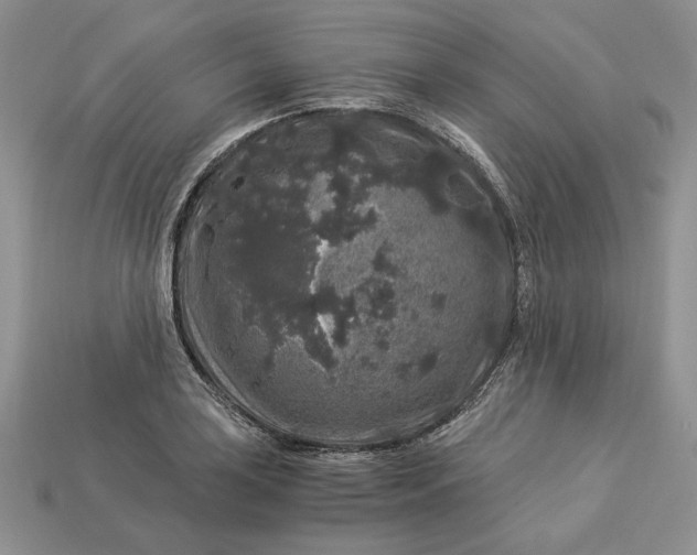 X0000112901035200909111520