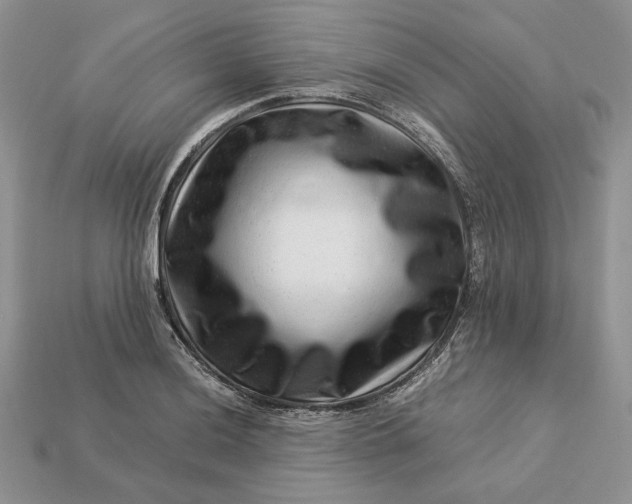X0000112901036200909111520