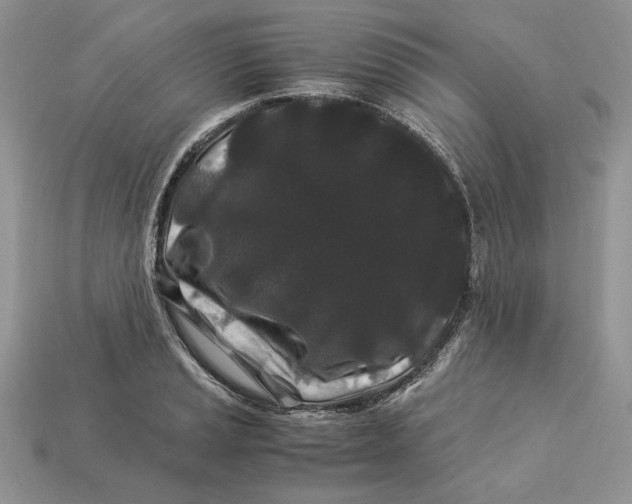 X0000112901037200909111520