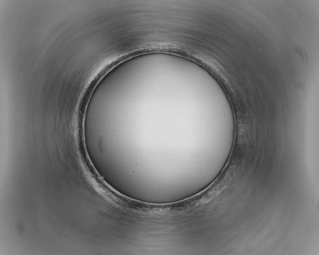 X0000112901038200909111520