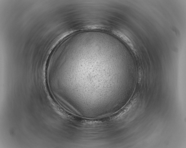 X0000112901039200909111520