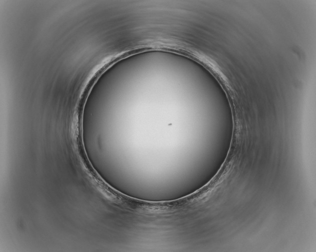 X0000112901040200909111520