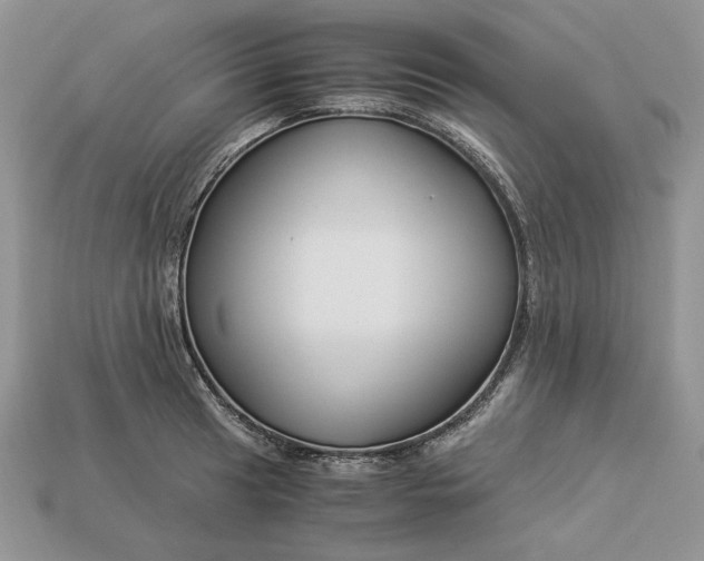 X0000112901041200909111520