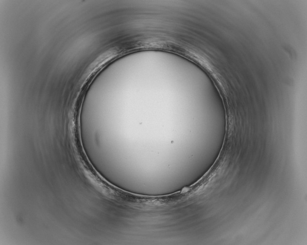 X0000112901042200909111520