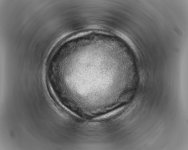 X0000112901043200909111520