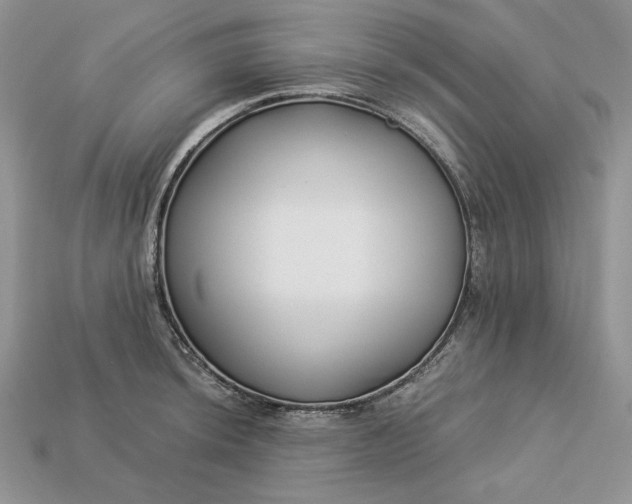 X0000112901044200909111520