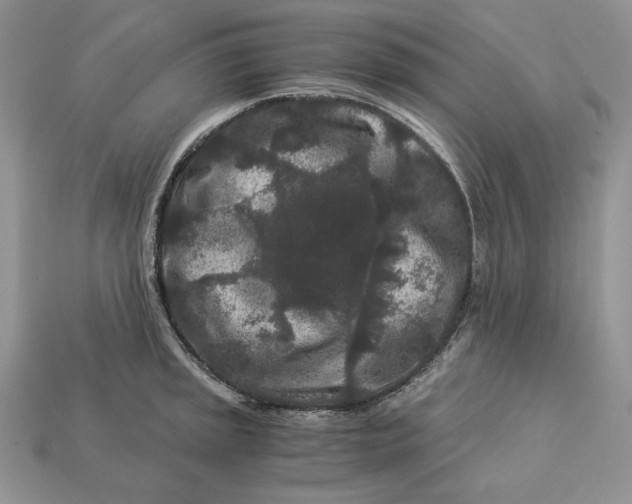 X0000112901045200909111520