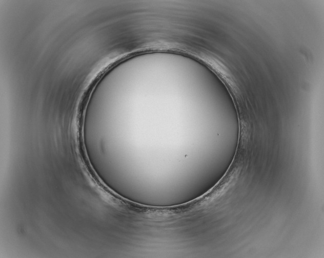 X0000112901046200909111520