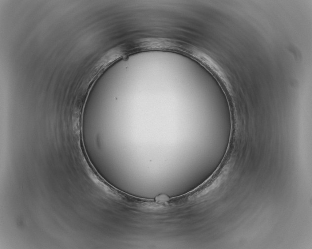 X0000112901049200909111520