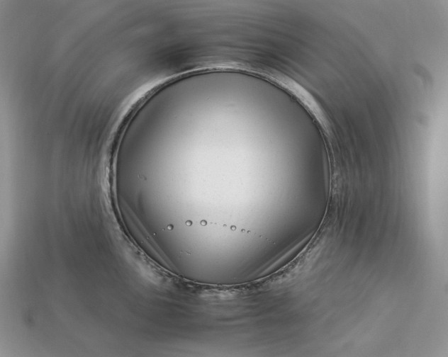 X0000112901051200909111520