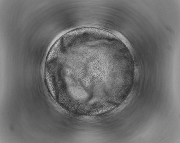 X0000112901052200909111520