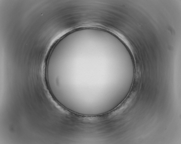 X0000112901053200909111520