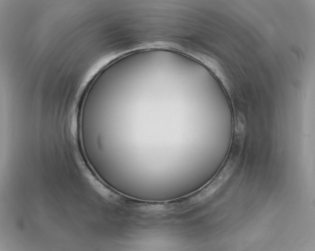 X0000112901054200909111520