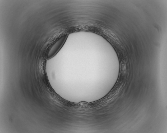 X0000112901060200909111520