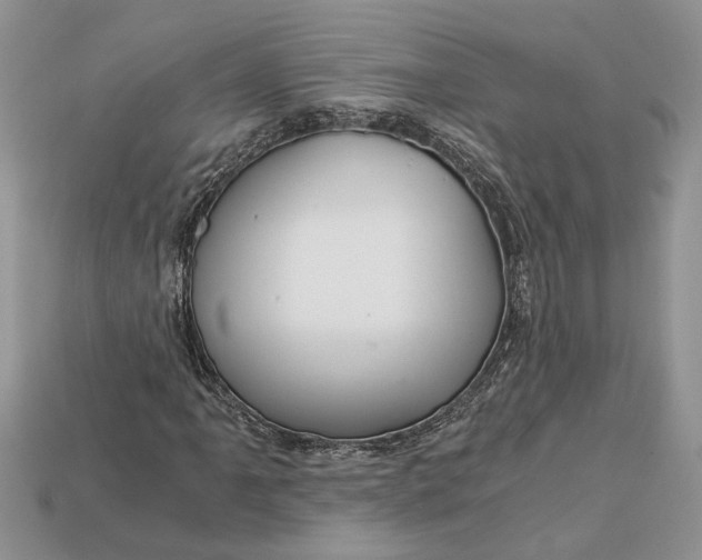 X0000112901061200909111520