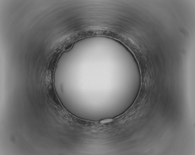 X0000112901062200909111520