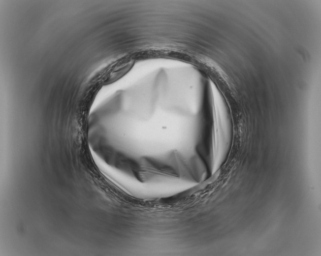 X0000112901064200909111520