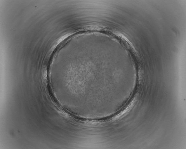 X0000112901065200909111520